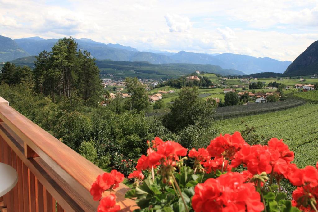 Kreuzstein Bed&Breakfast Appiano Sulla Strada Del Vino Quarto foto
